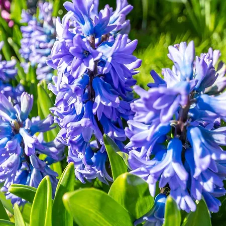 Semesterbostad Sandepark 165 Near *